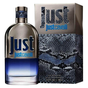 عطر جست كافالي للرجال أو دي تواليت من روبرتو كافالي 90مل - Roberto Cavalli Just for Men - 90ml, Eau de Toilette